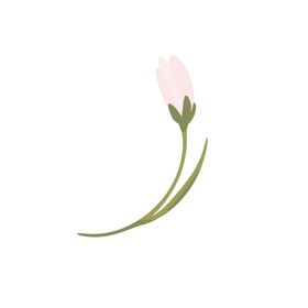 森系花枝