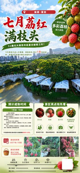 七月荔枝采摘活动手机海报