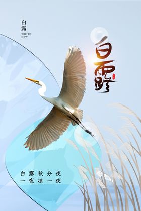 白露海报