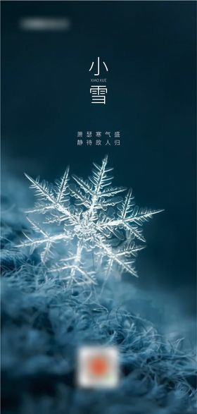 小雪地产节气海报