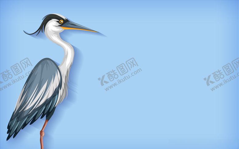 编号：41299109271102066385【酷图网】源文件下载-鸟类彩绘