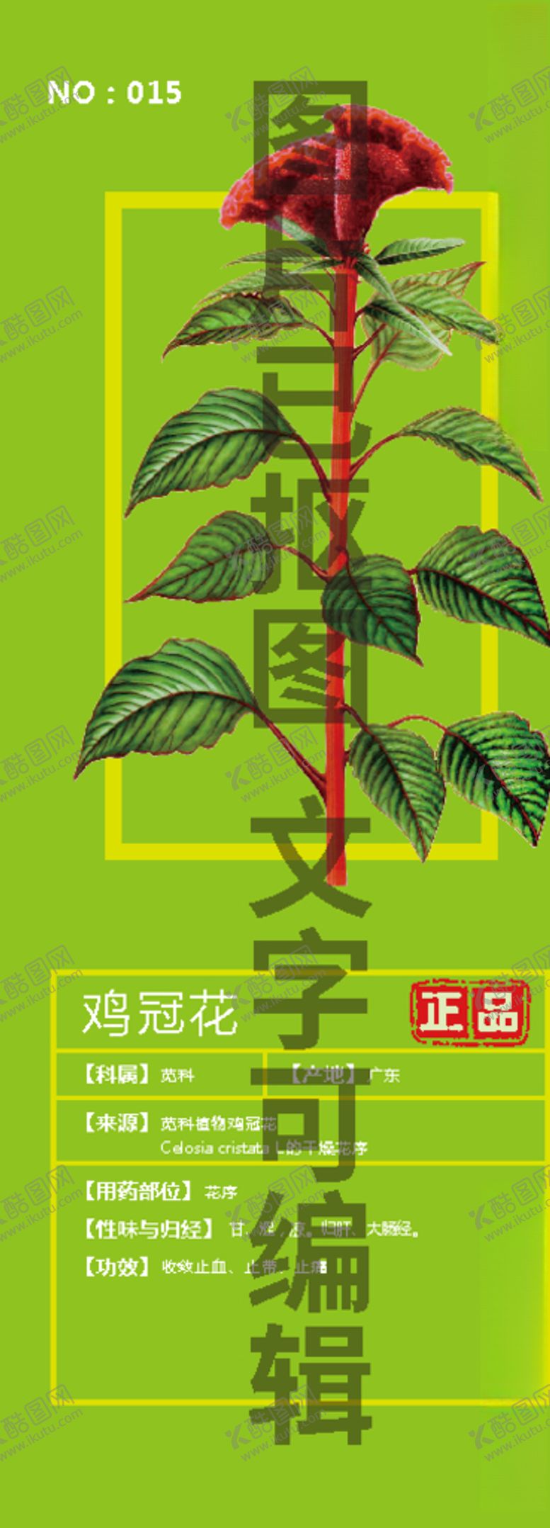 编号：33259705081636539748【酷图网】源文件下载-鸡冠花