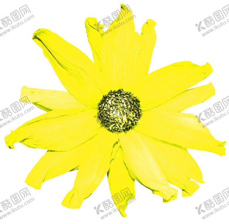 编号：32589506271523188046【酷图网】源文件下载-花素材