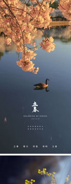 立春春分节日海报