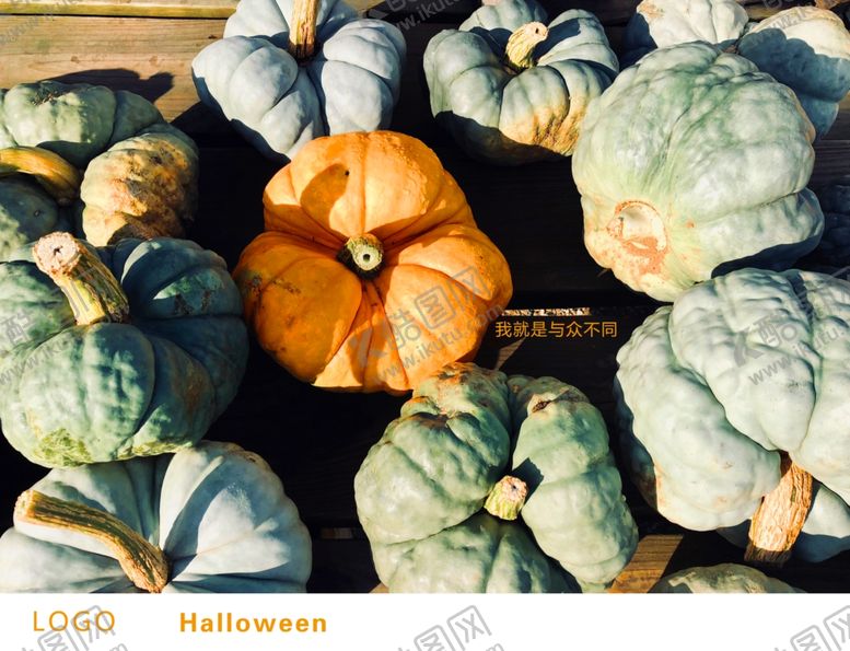 编号：77983309291251537051【酷图网】源文件下载-万圣节海报