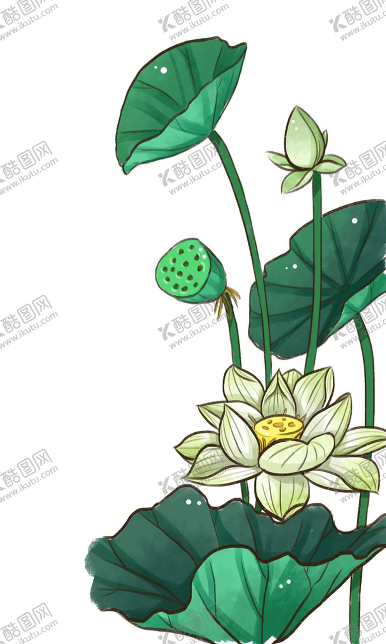 编号：12469510111331164813【酷图网】源文件下载-莲花荷花
