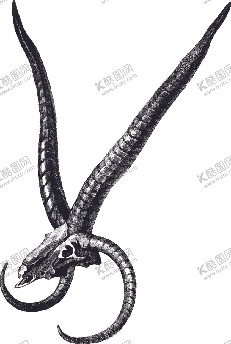 编号：63177809221349319294【酷图网】源文件下载-羊头图标