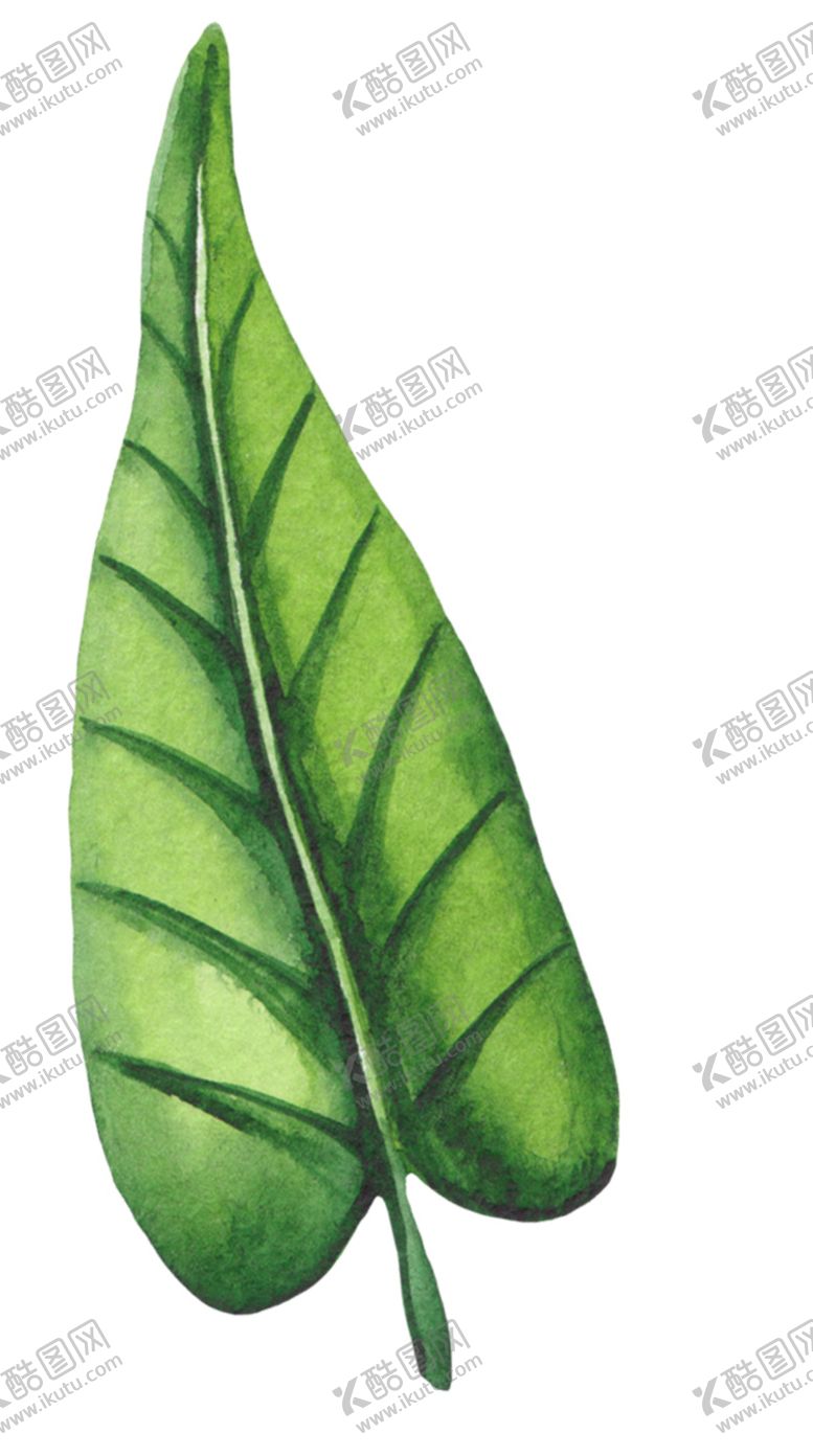 编号：28885403152300477738【酷图网】源文件下载-叶子
