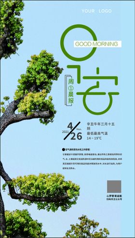 小清新晨报早安海报展示图片