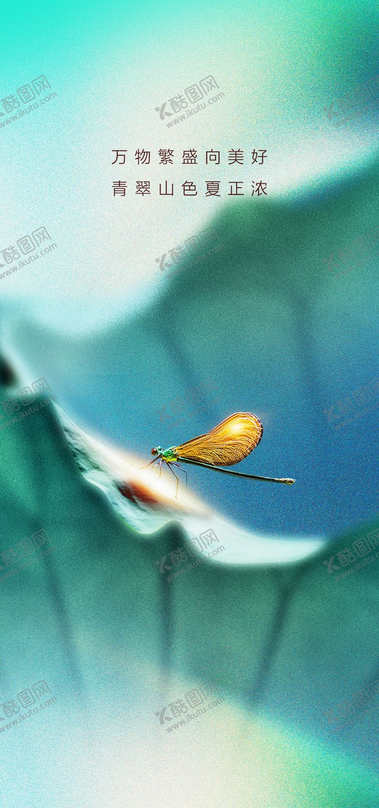 编号：29180609141208592947【酷图网】源文件下载-小暑节气海报设计
