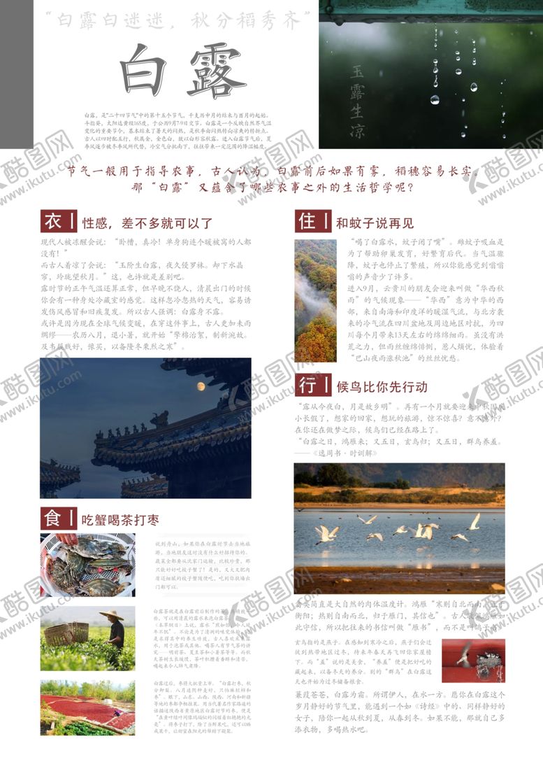 编号：14198806290643458158【酷图网】源文件下载-白露