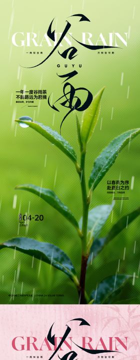 谷雨茶谷雨花