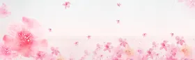 粉色背景情人节封面尊贵鲜花