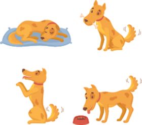 狗DOG动物卡通