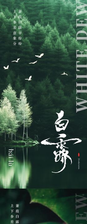 白露节气海报地产风光自然鹭