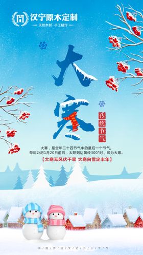 大寒冬天雪花寒冷腊月