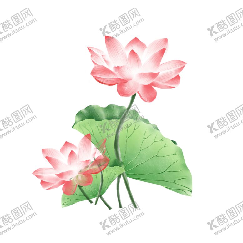 编号：67260204150932546928【酷图网】源文件下载-荷花元素