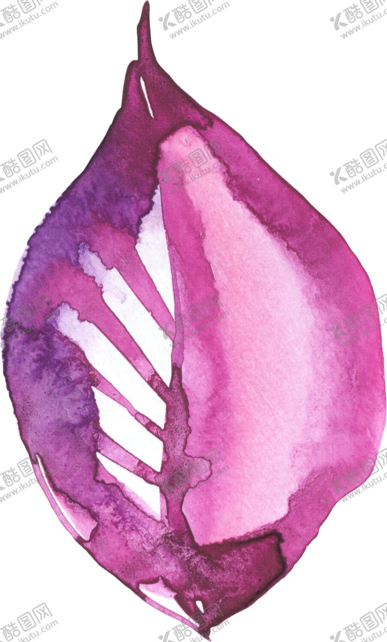 编号：49836610070446097879【酷图网】源文件下载-水彩手绘花卉花朵植物