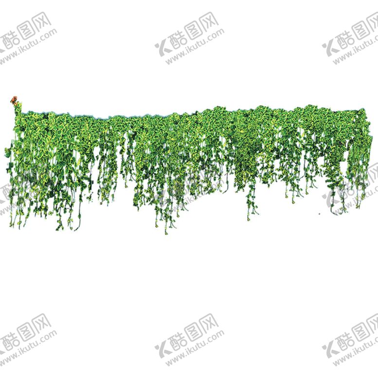 编号：87737210221355356168【酷图网】源文件下载-植物