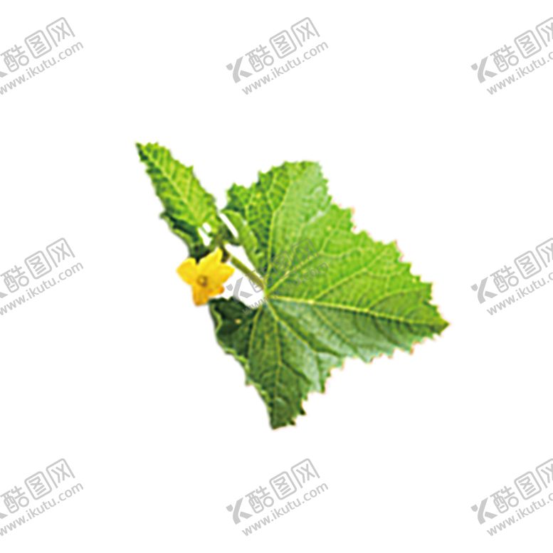 编号：37503009270415596219【酷图网】源文件下载-水果