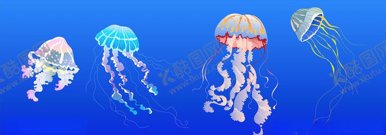 编号：57547410301848597904【酷图网】源文件下载-水母