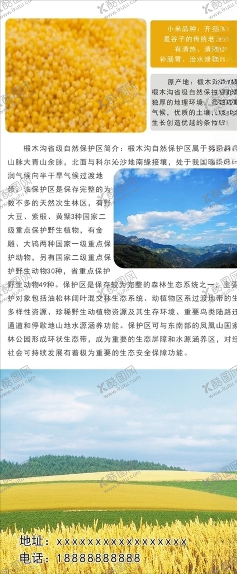 编号：43772307140234028701【酷图网】源文件下载-农产品农副产品小米展架