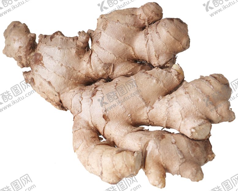 编号：95941609231739006536【酷图网】源文件下载-高品质的食物