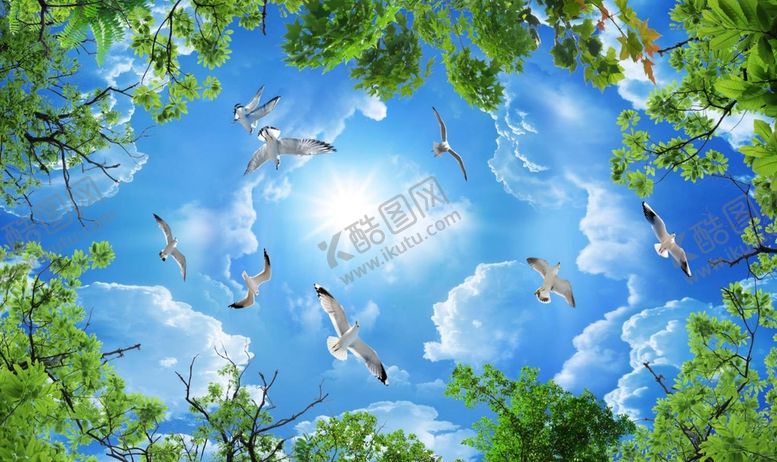 编号：51079209142202266829【酷图网】源文件下载-天空海鸥