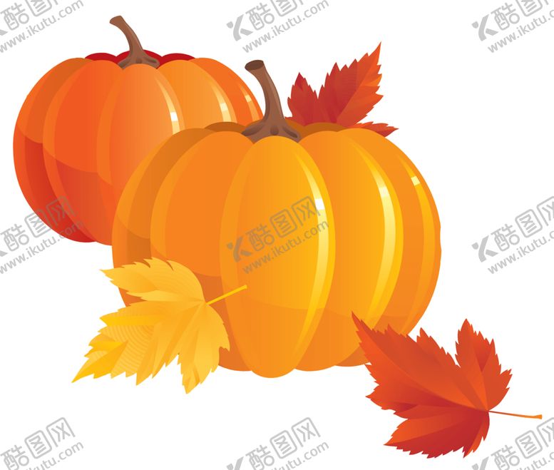 编号：39260009091538524235【酷图网】源文件下载-南瓜图片