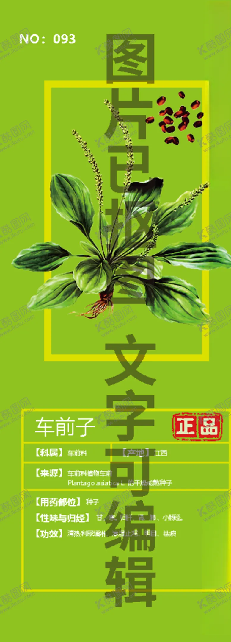 编号：55630504200250336917【酷图网】源文件下载-车前子