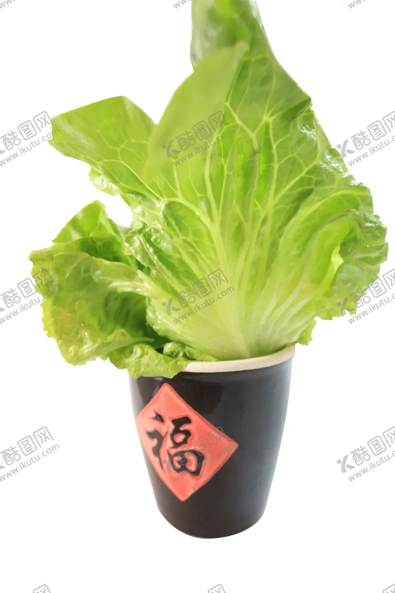 编号：42532309261010332619【酷图网】源文件下载-菜小青菜