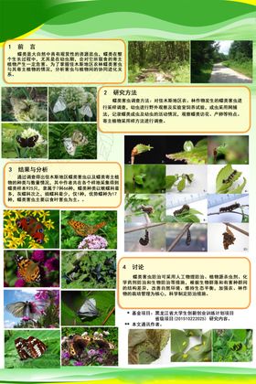 自然景观与植物展示