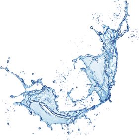 水花