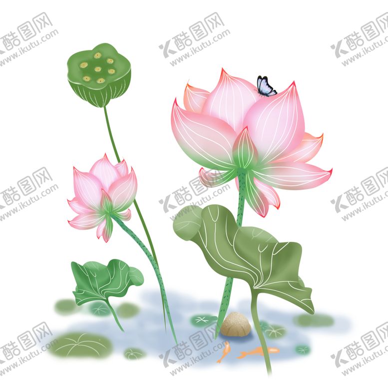 编号：79024204290756254712【酷图网】源文件下载-荷花