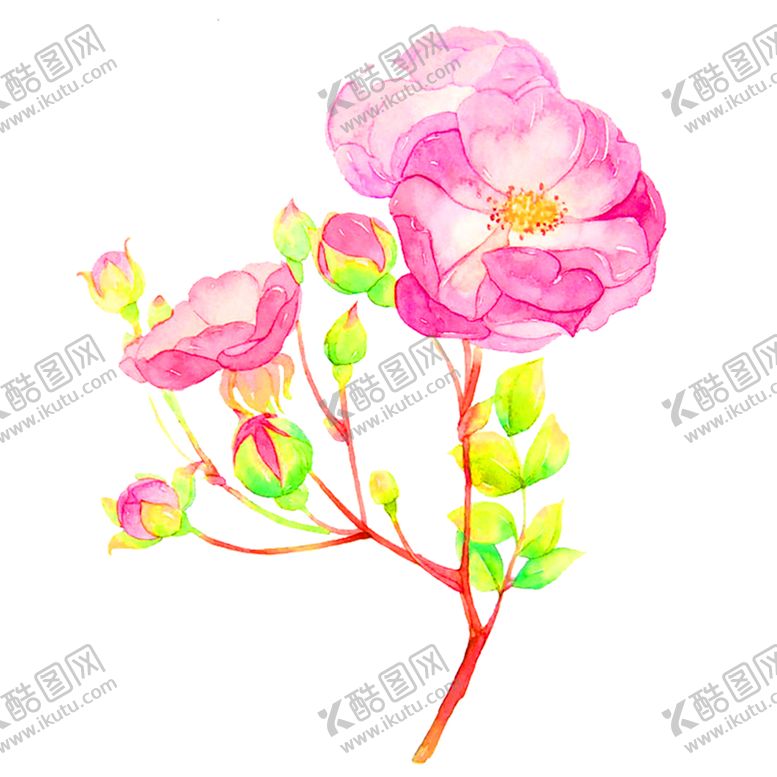 编号：28342510040217541327【酷图网】源文件下载-鲜花装饰