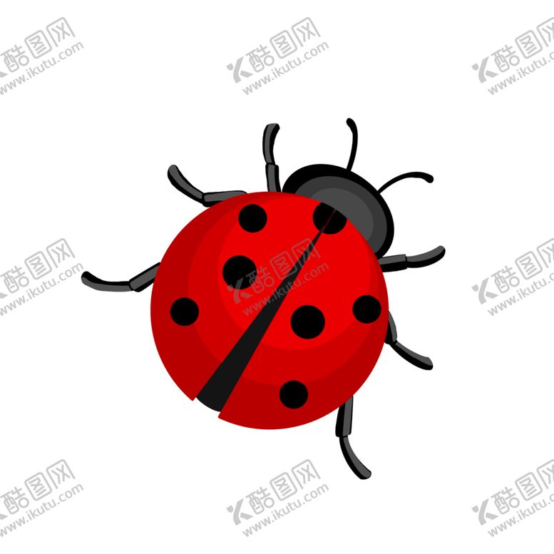 编号：32706501300650549951【酷图网】源文件下载-瓢虫昆虫虫七星瓢虫