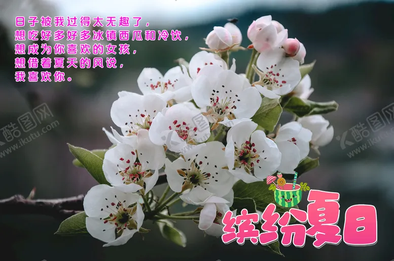 编号：92860409161534125247【酷图网】源文件下载-缤纷夏日海报