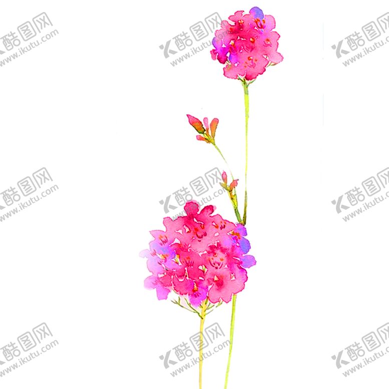 编号：82269810071830188541【酷图网】源文件下载-鲜花装饰