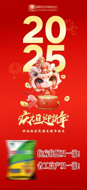 元旦新年