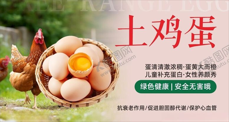 编号：16842604272020126259【酷图网】源文件下载-土鸡蛋美食海报素材