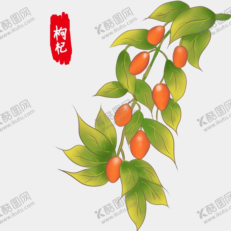 编号：46633912111009522985【酷图网】源文件下载-手绘枸杞