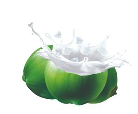 椰子