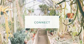 版面设计排版模式个性设计