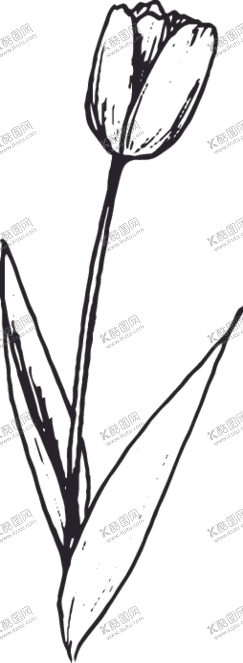 编号：13006607091805397444【酷图网】源文件下载-素描鲜花