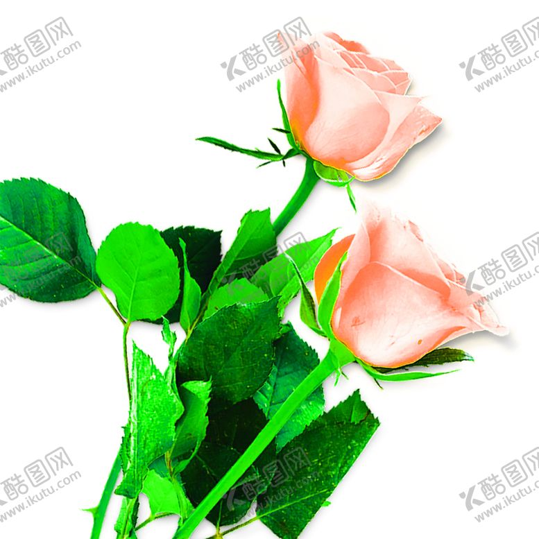 编号：24144406151930512632【酷图网】源文件下载-花素材