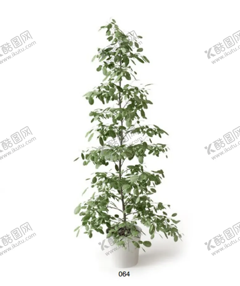 编号：58097210110624471475【酷图网】源文件下载-C4D模型 绿色树木 