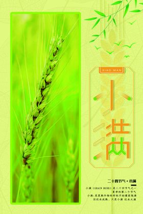 小满海报