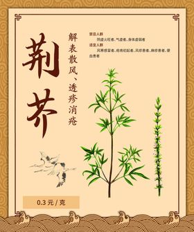 中医功效介绍荆芥