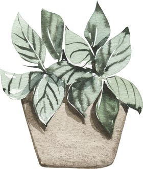 植物盆栽手绘