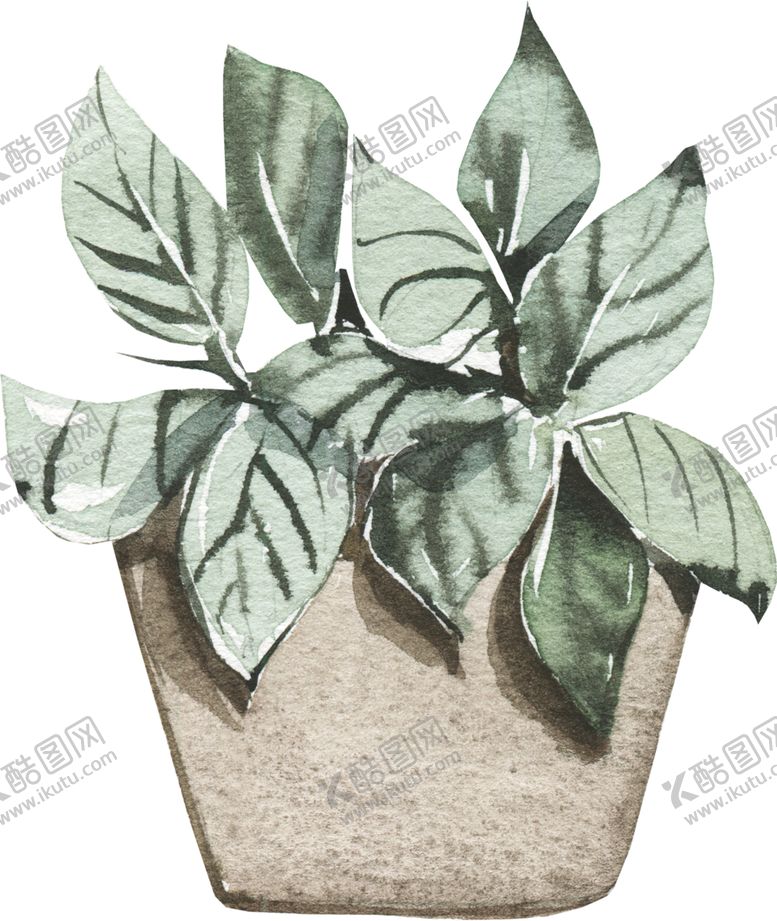 编号：71041110141907273791【酷图网】源文件下载-手绘盆栽植物
